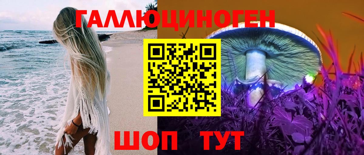 Дзержинск  Псилоцибиновые грибы мухоморы  Вход с VPN 