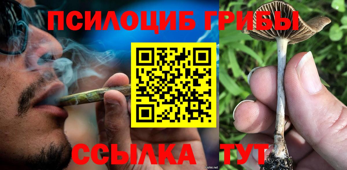 Псилоцибиновые грибы мухоморы Дзержинск